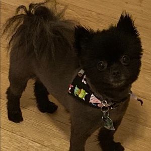 Meet your Posher, Jack